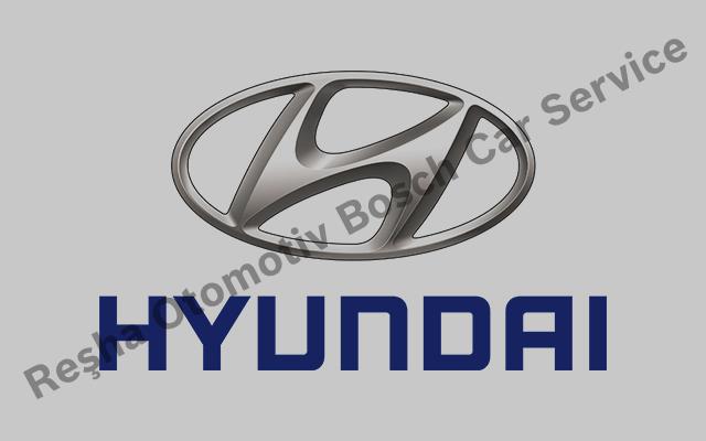 Ordu Hyundai Servisi