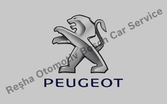 Ordu Peugeot Servisi