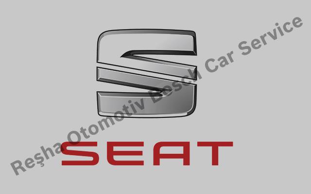 Ordu Seat Servisi